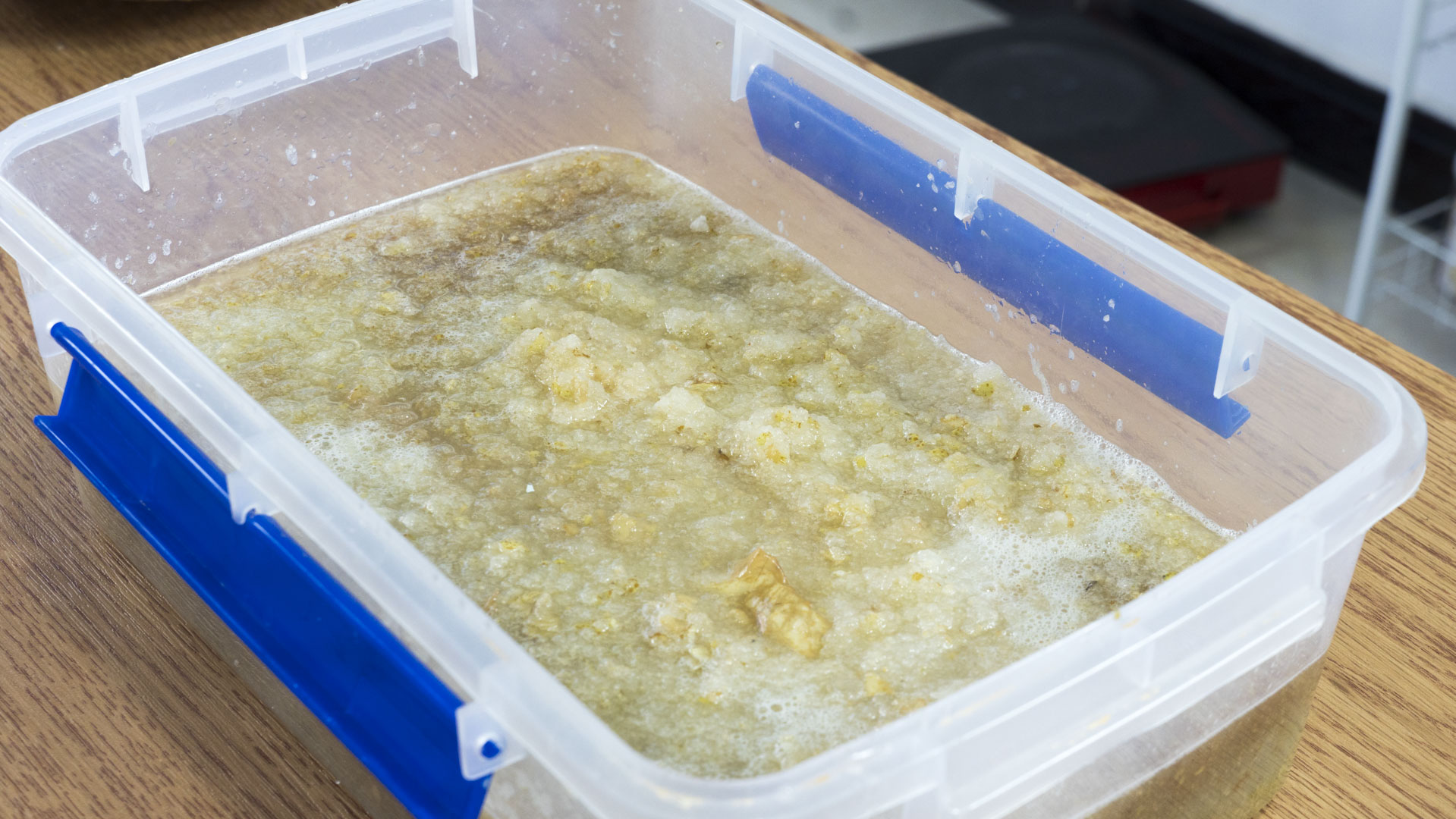 秋季降火菜谱大全,去秋燥降火的食谱