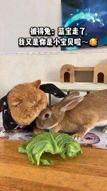 军训爆笑gif,军训时的搞笑瞬间图图