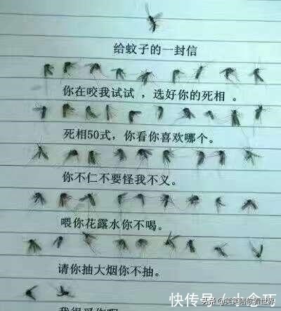 苍蝇图片搞笑动图,苍蝇幽默搞笑图片