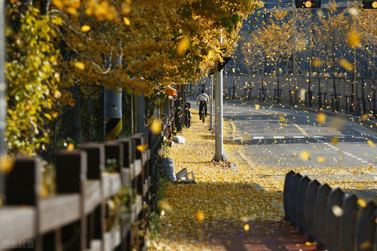 仕途之路的感悟,人在仕途感悟