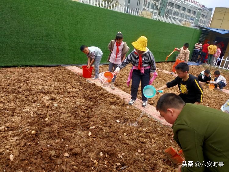 *光春**烂漫静待花开﻿——丰安小学3月活动纪实