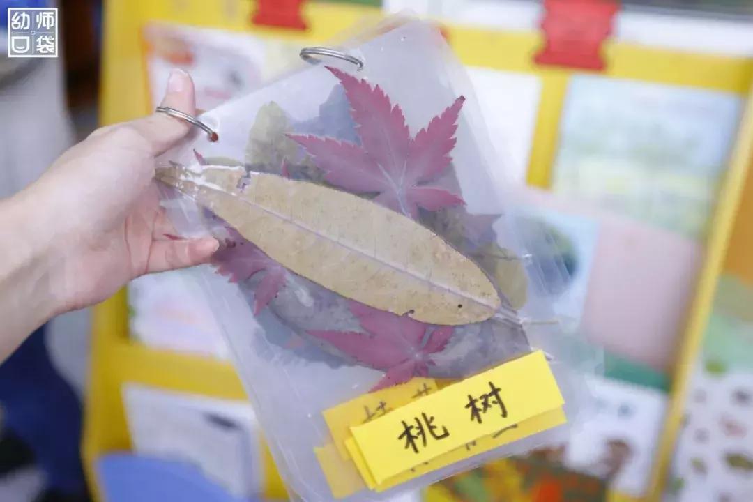 空间小、经费不足、面临*迁拆**，这家幼儿园却给出了满分的环境