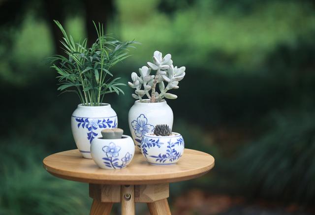 六月情感语录短句,五月的心灵鸡汤句子