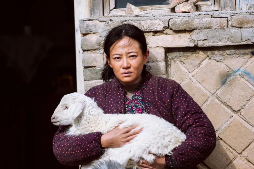 红海行动口碑最好的一部,红海行动收视率最高的电视剧