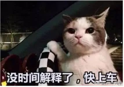 2016彪马代言人刘雯,彪马刘雯同款套装