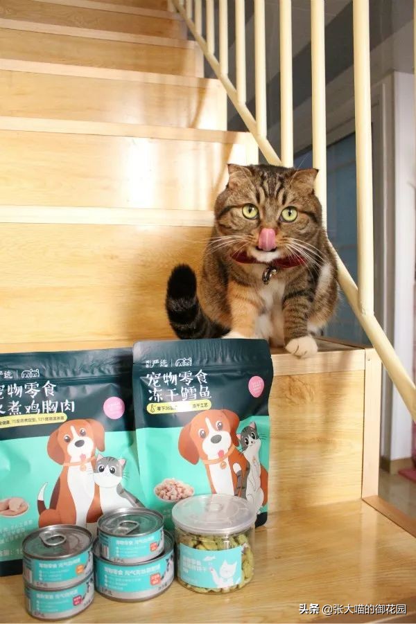网易严选猫罐头试吃,猫咪零食罐头网易严选