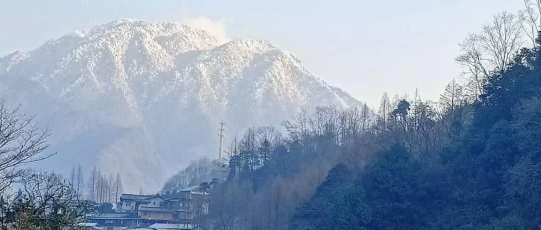 成都出发1.5h，藏在青城后山网红轻奢度假民宿，丨桐去隐泉