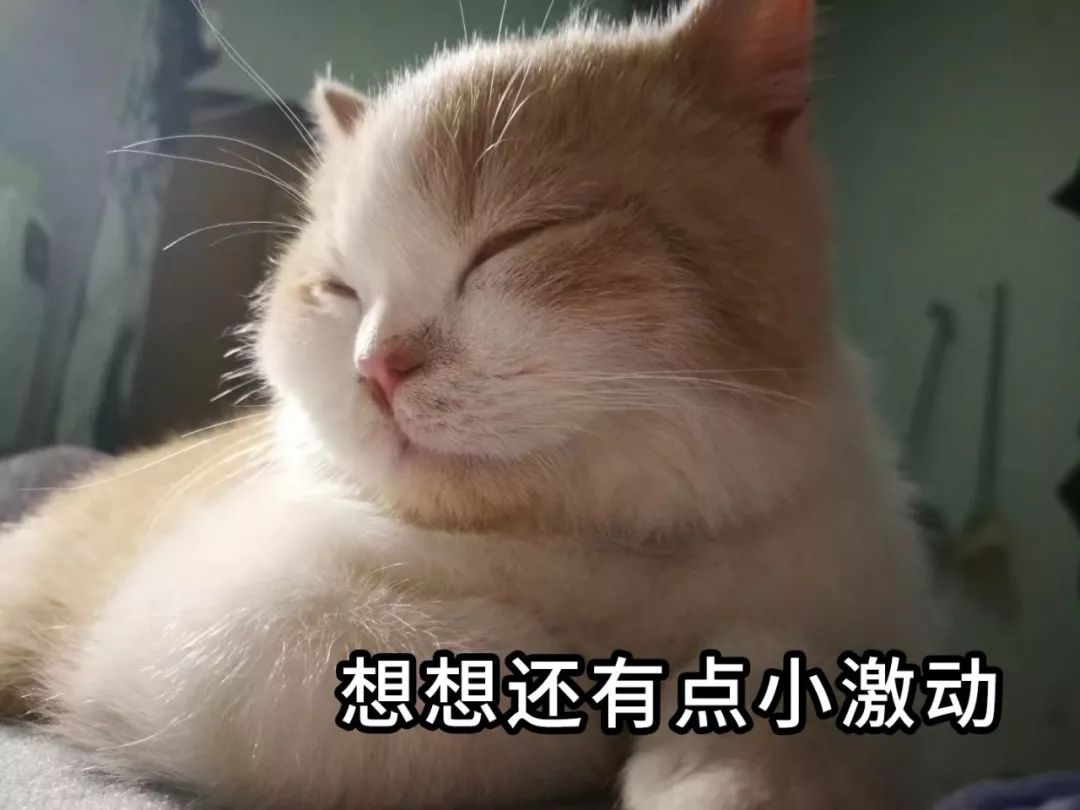 叶檀财经十大最没前途城市,叶檀财经十大潜力股2021