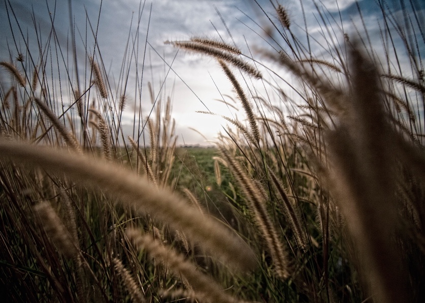 波西米亚狂想曲高晓松点评,高晓松聊波西米亚狂想曲