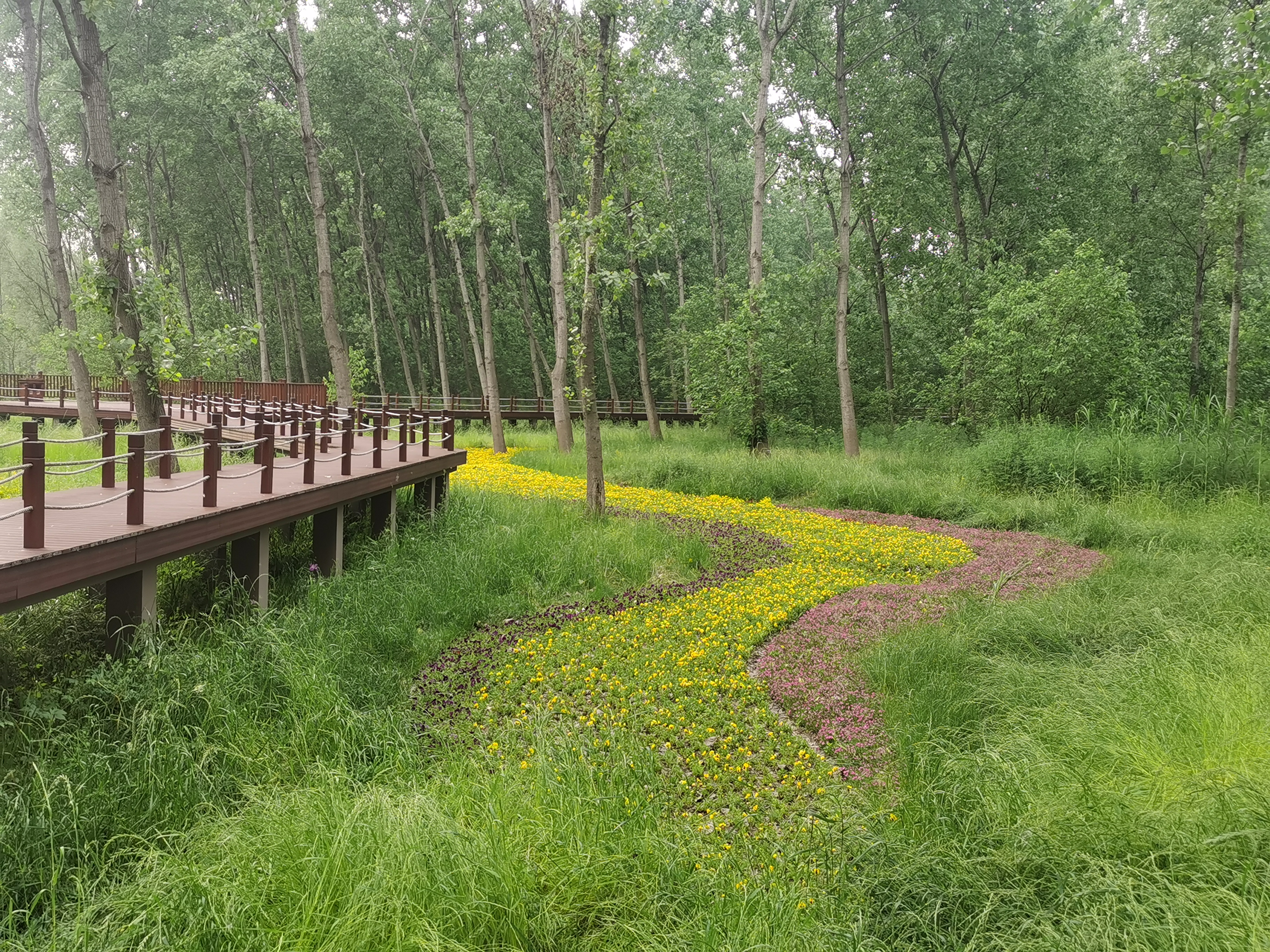 曾经的脏乱差变成了现在的新景观,从面目全非到焕然一新