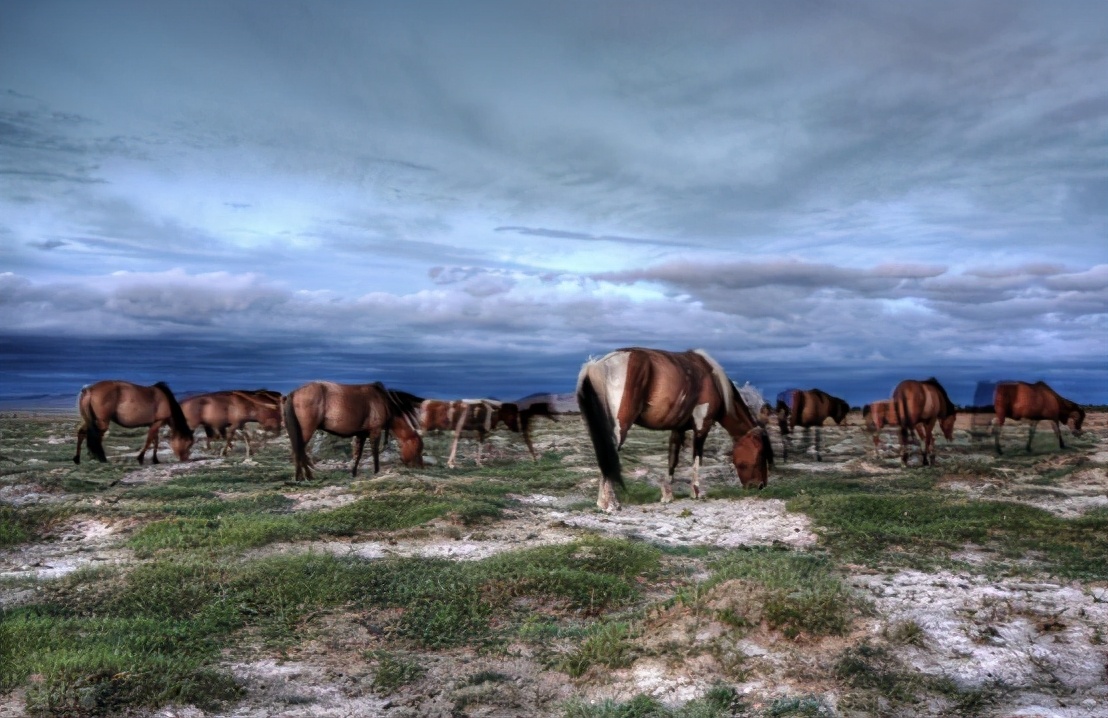 治沙对策和措施,治沙的最好办法