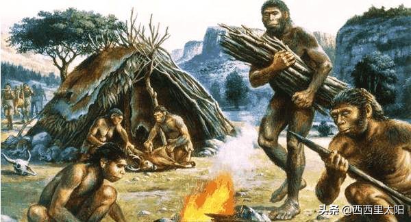 21岁女护士说自己拒绝饭局遭解聘,21岁女护士因拒绝领导饭局被解聘