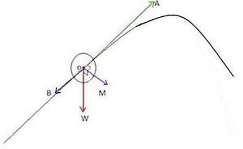球类抛物线,弧线球的物理原理