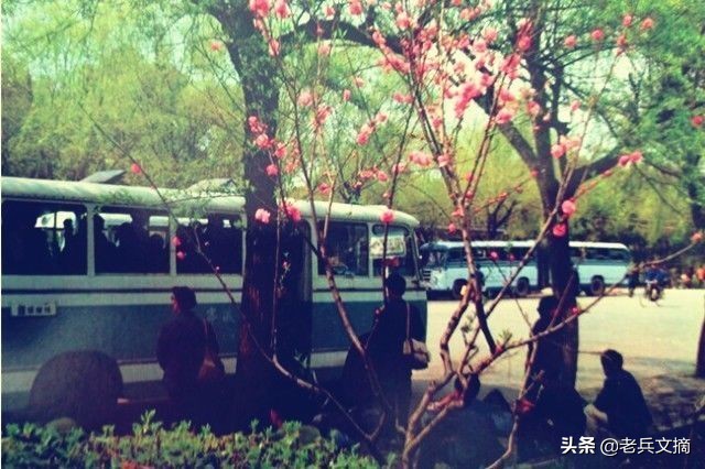 宁波慈溪市70后怀旧老照片100张,老照片七八十年代宁波的记忆