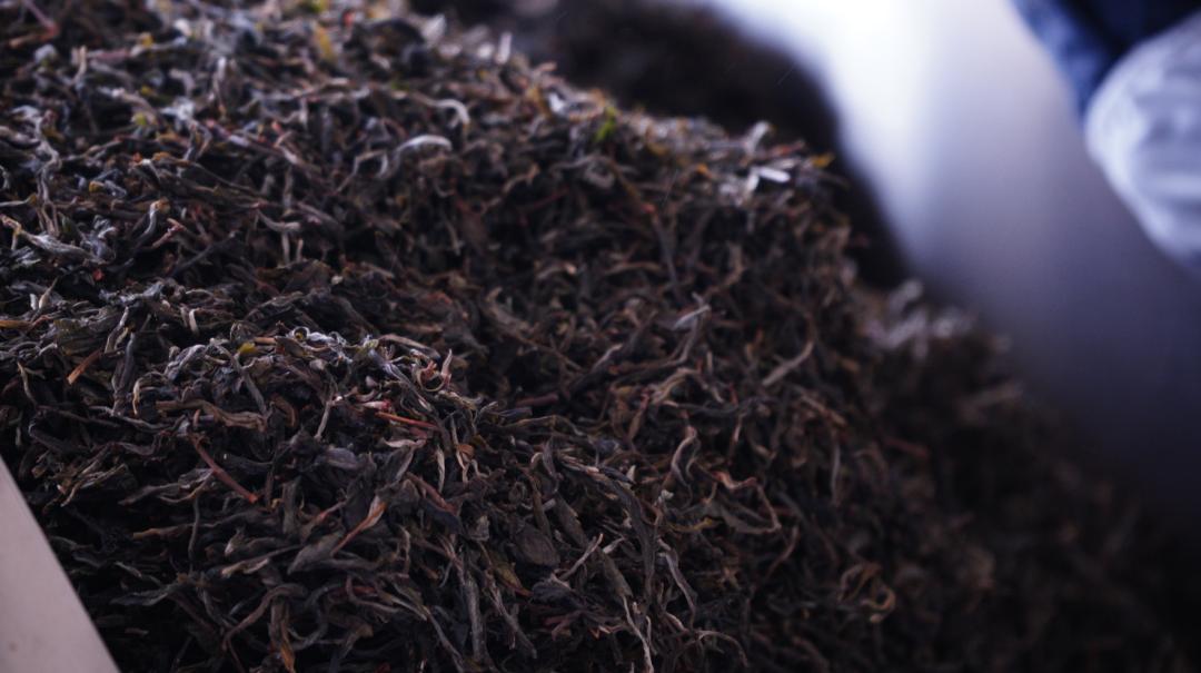 探讨一下普洱茶行业的过剩与稀缺,茶行业产品过剩