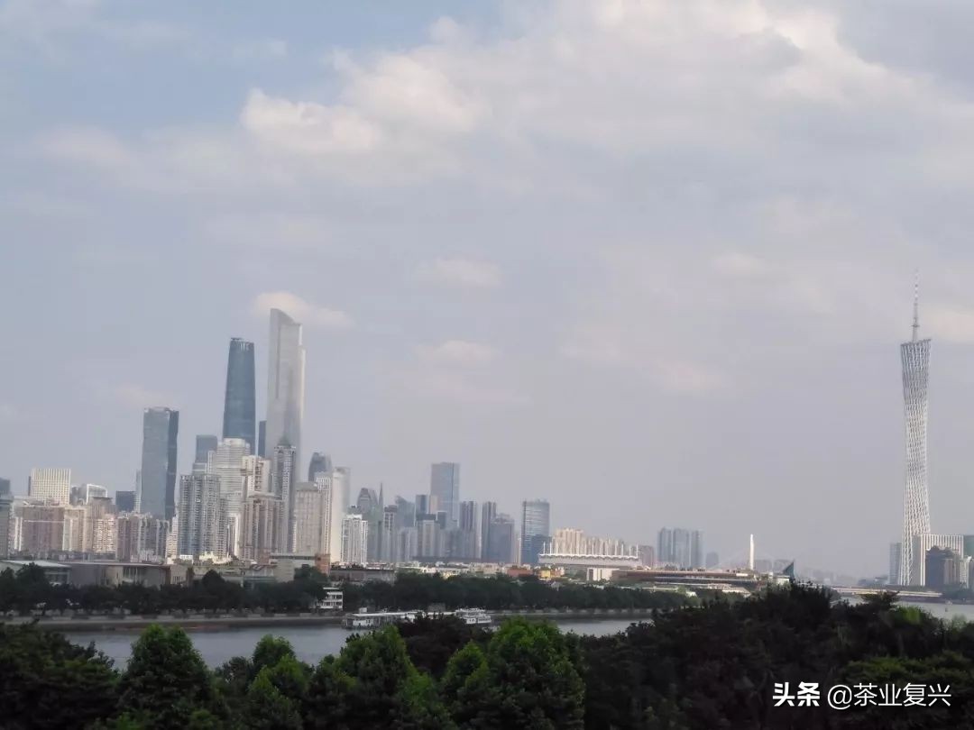 芳村茶市场,芳村茶叶市场都是金融茶吗