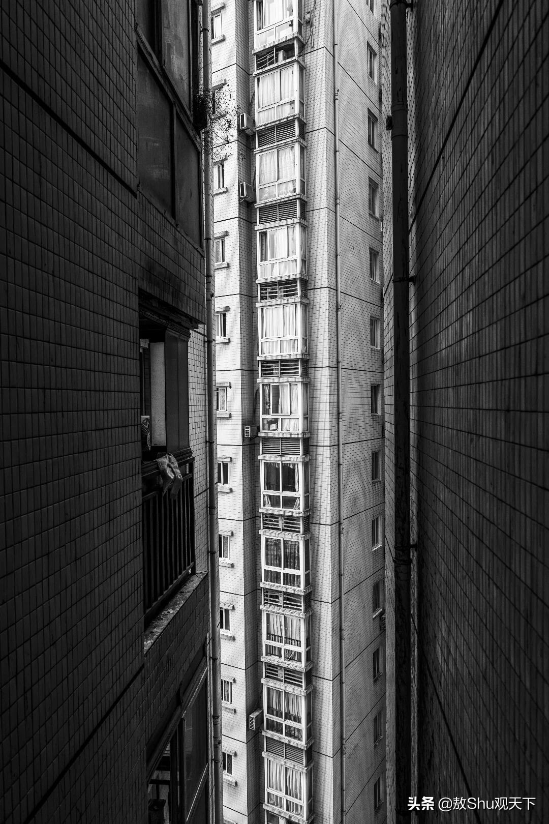 斑马斑马女声版,斑马斑马原唱完整版