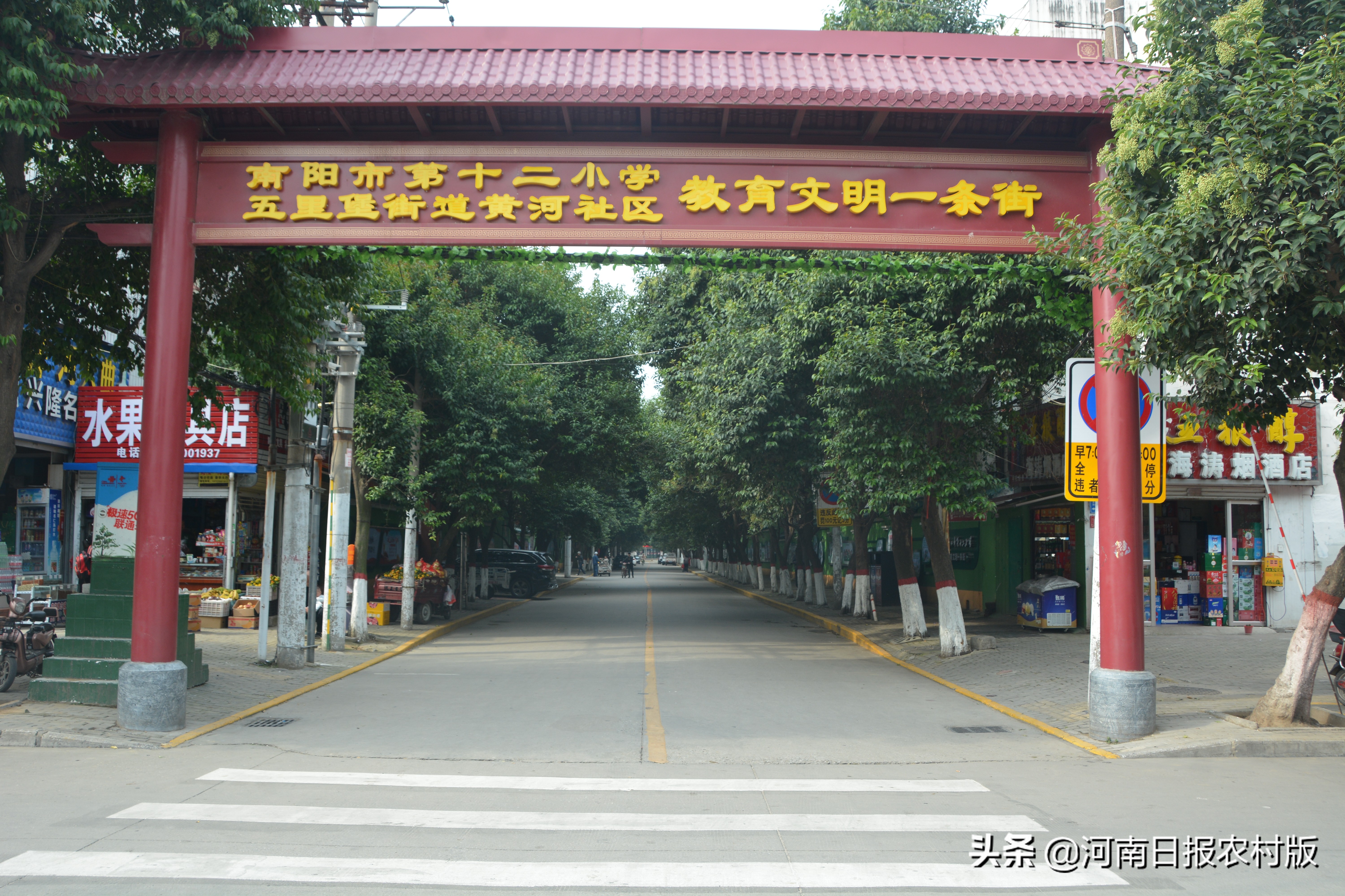 文明之花绽放新时代,文明之花绽放芬芳