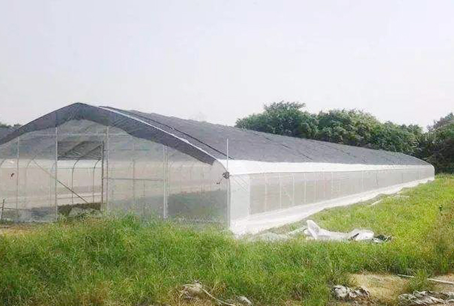 有人说,种植大棚不挣钱,竟是瞎投资,这种说法是对是错?