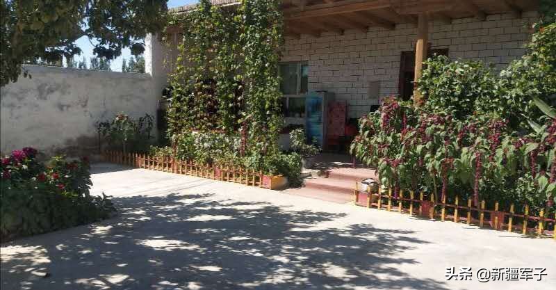 库尔班大叔涝坝打水片段,库尔班大叔涝坝排队打水片段