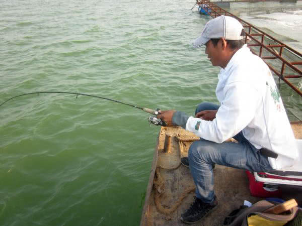 黑坑清江鱼钓鱼技巧和方法,网箱钓鱼技巧视频教程