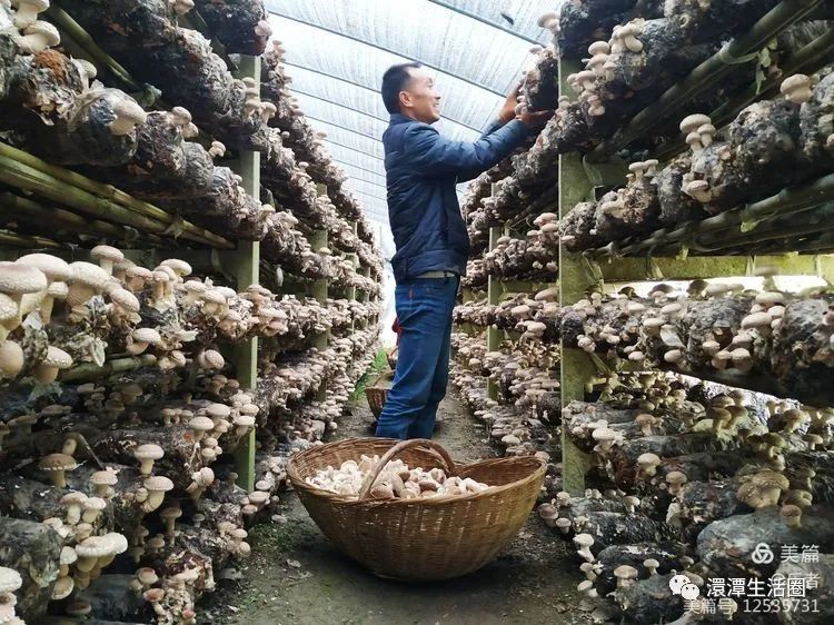 最美大浪山脚下蜂洞冲随州作者:王从伦