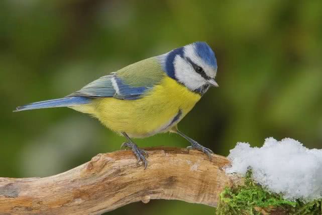 跟它们相比,人类的“*生活性**”无聊至极