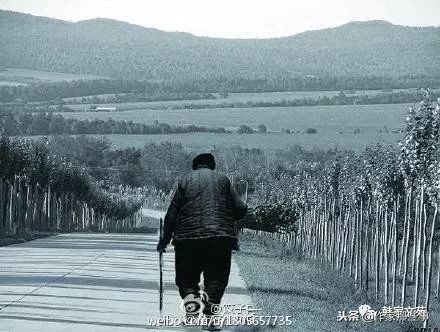 我的后娘全集播放,我的后娘42集大结局