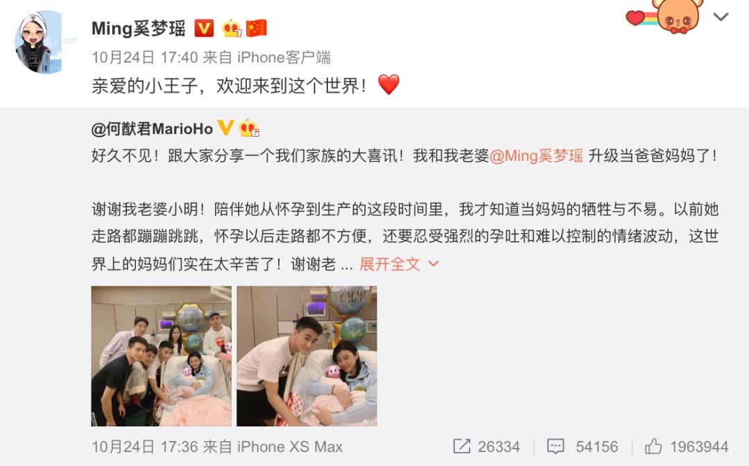 奚梦瑶生下赌王长孙吗,奚梦瑶生下赌王长孙有什么优势