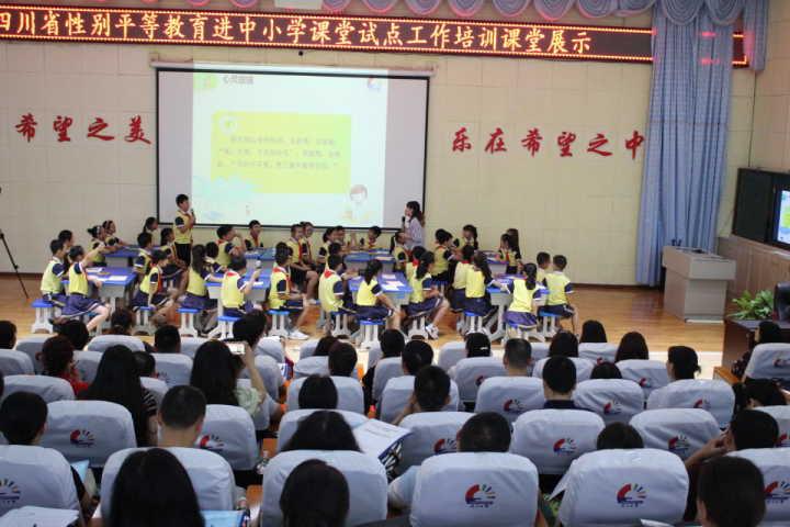 中小学性别平等教育教学讲座,性别平等教育课程成都市