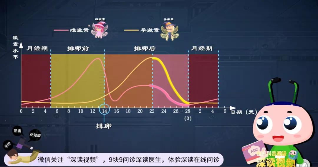 短效避孕药引起的出血怎么办,长效避孕药引起的出血量多吗
