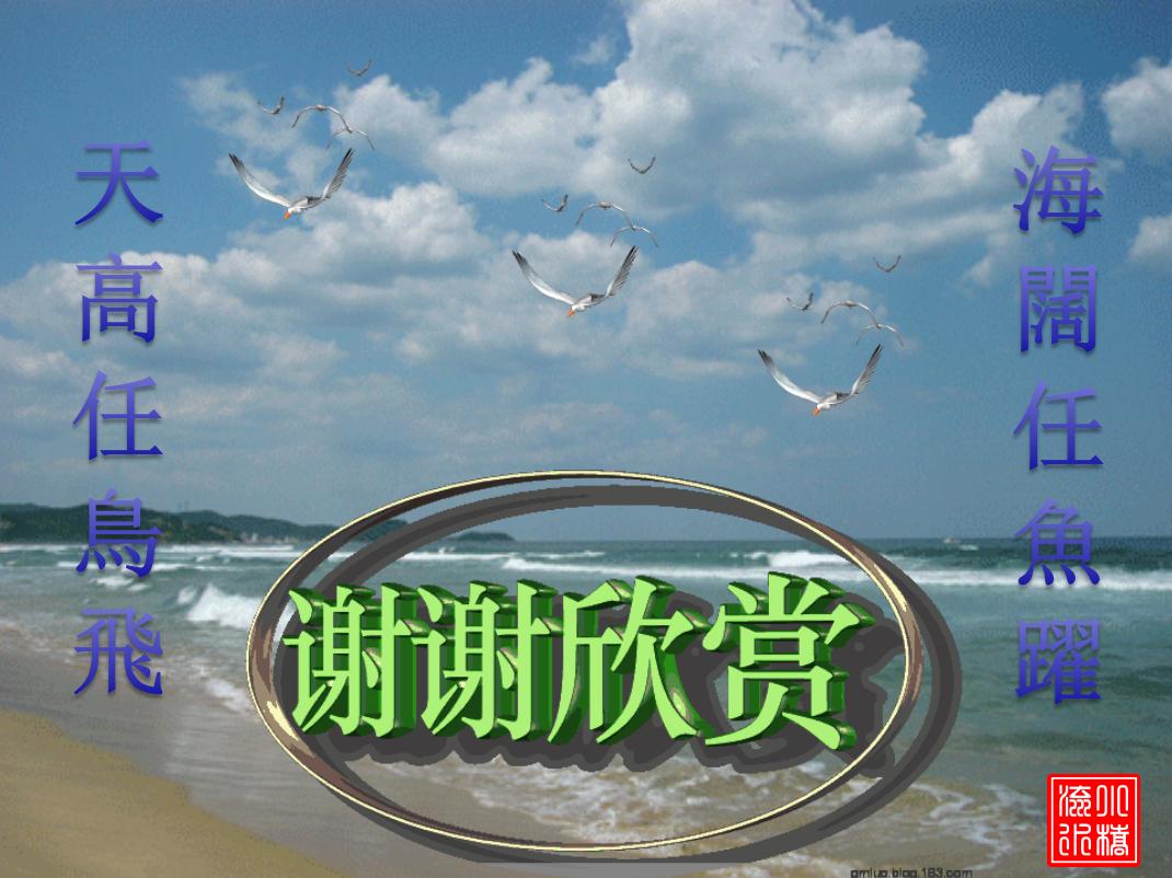 本周期货波段交易策略,期货寻找趋势的视频