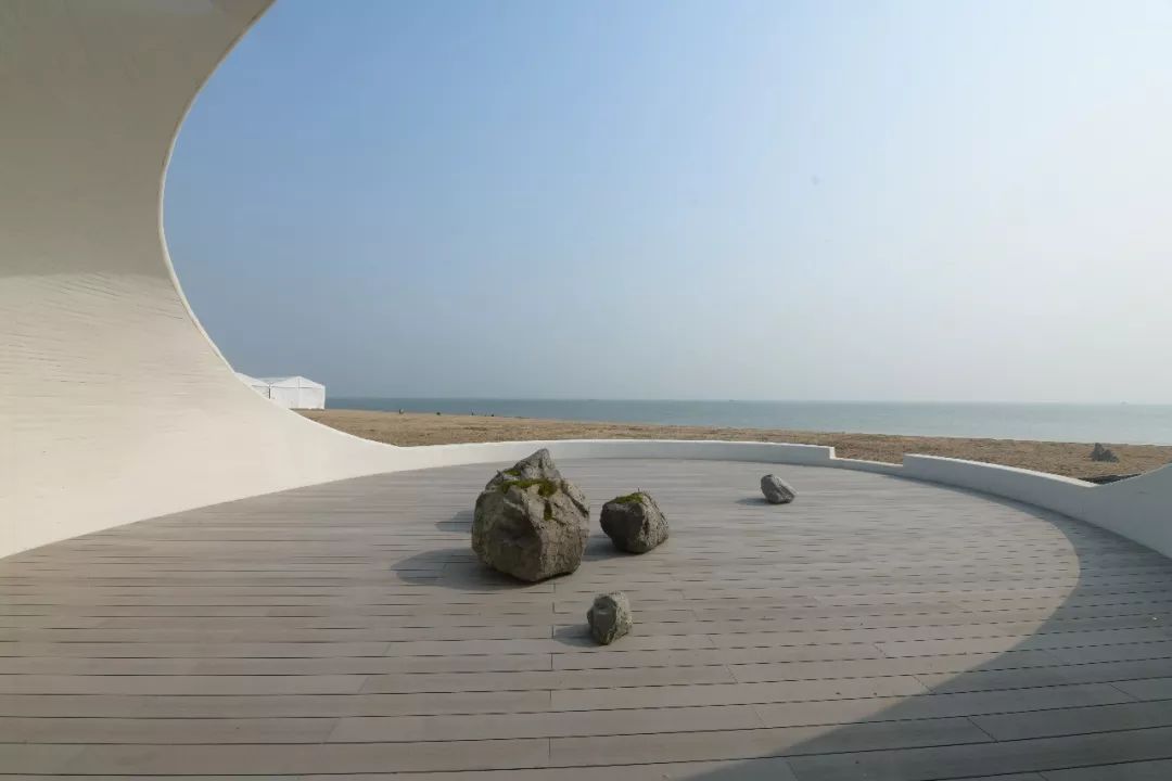 亚文化2013,亚文化2019