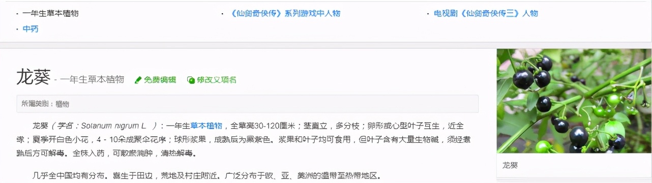 冷知识龙葵,冷知识仙剑