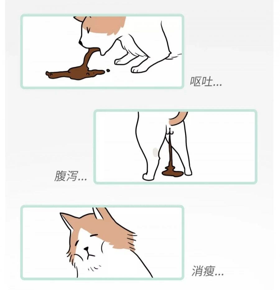 菊部边上长了个肉疙瘩,菊部周边有个白色脓包