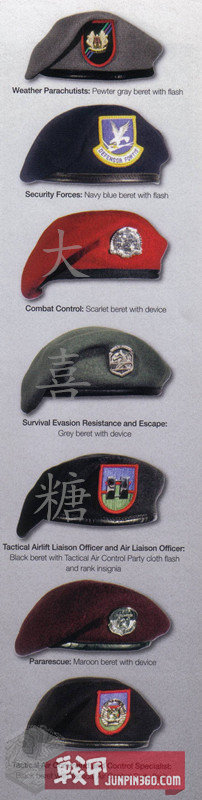 空军宪兵第四部分：安全部队制服配饰中的特色元素