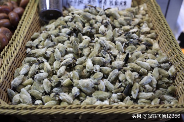 辛夷中药,学中药