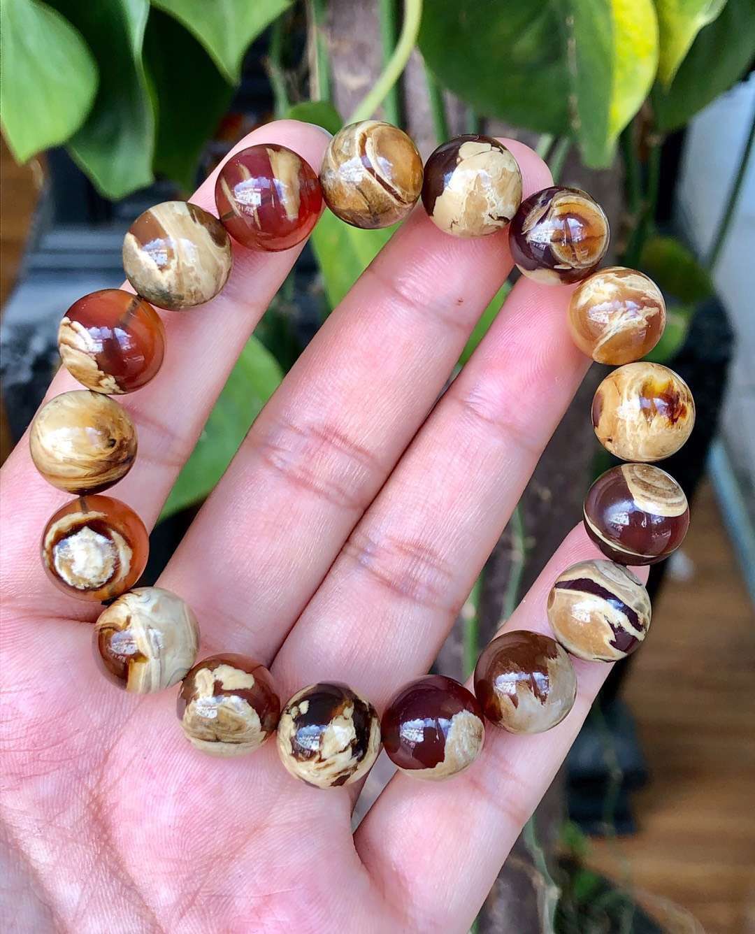 最好的琥珀是哪里产的,琥珀哪里的产地最好