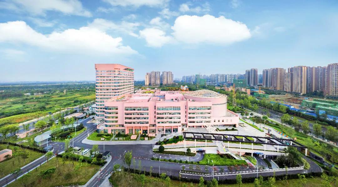 这里是三圣乡，盛产让世界迷恋的“城市多巴胺”