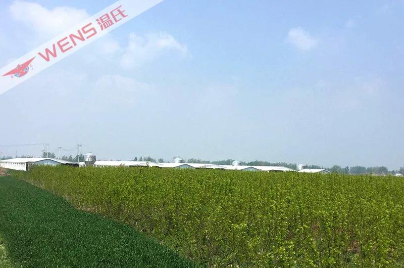 温氏劳动模范,温氏集团优秀员工