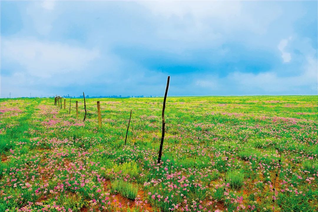 中国人过年太有意思,中国人过年有什么活动