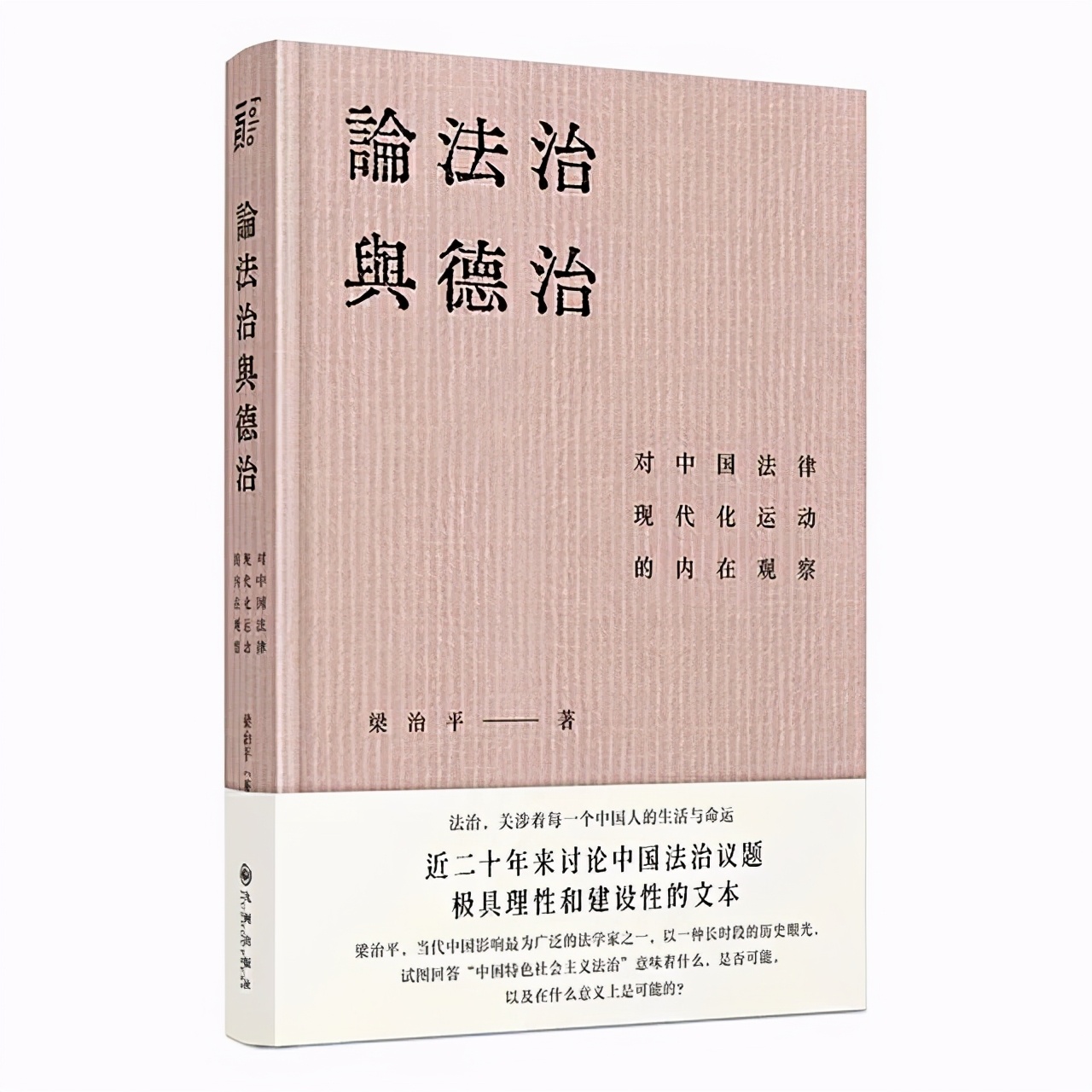 2020年法考刑法讲义,2019年十大法治图书