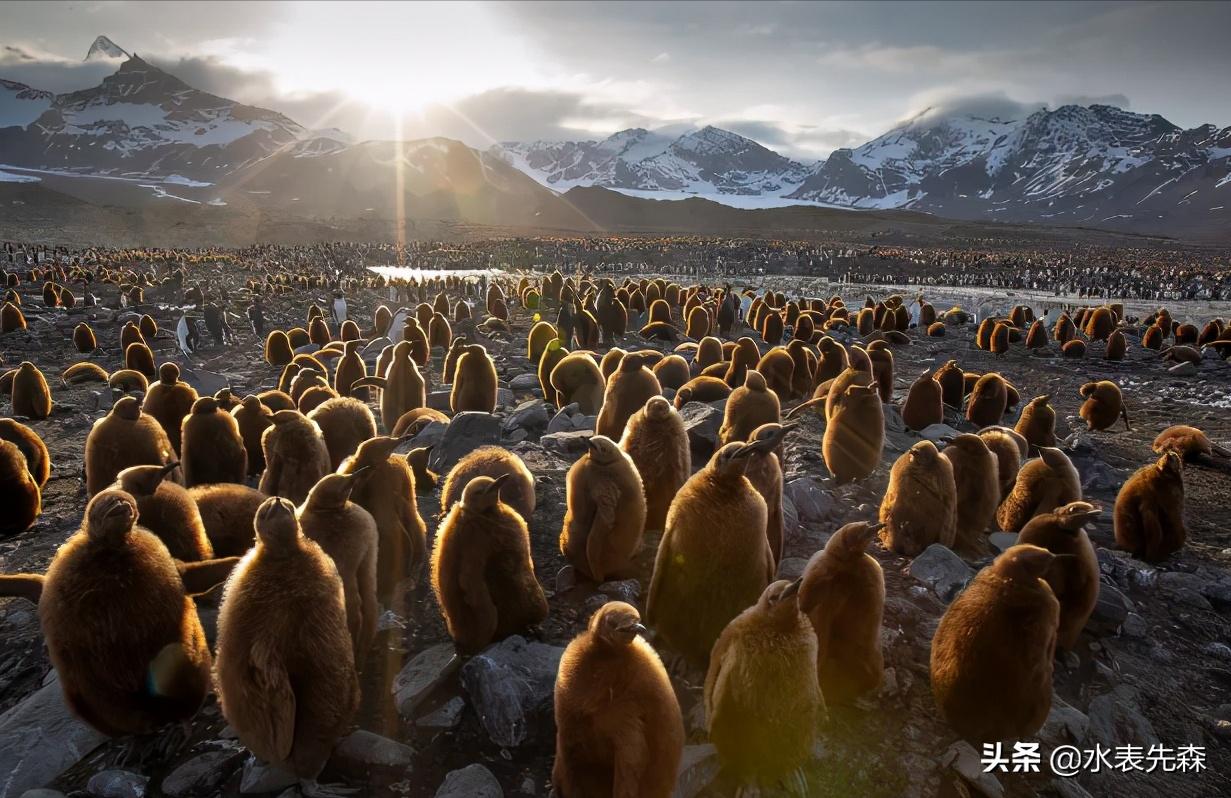 十部必看高分纪录片,十大必看的高分纪录片
