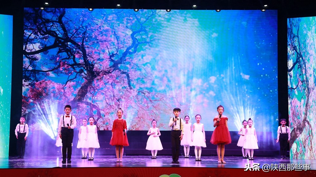 小天鹅艺术团童心向党,陕西省小天鹅艺术团点亮中国梦