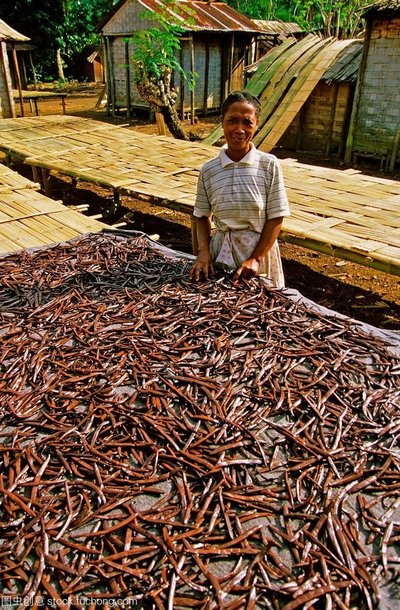 非洲最大岛马达加斯加,非洲马达加斯加岛