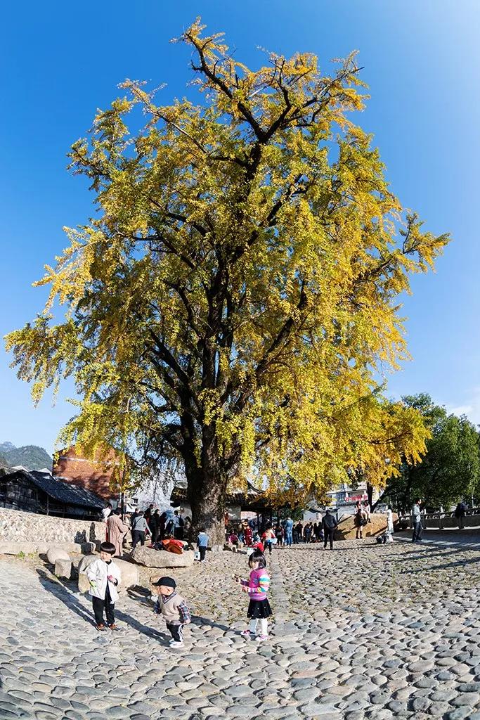 白泉古村,白泉附近的古村