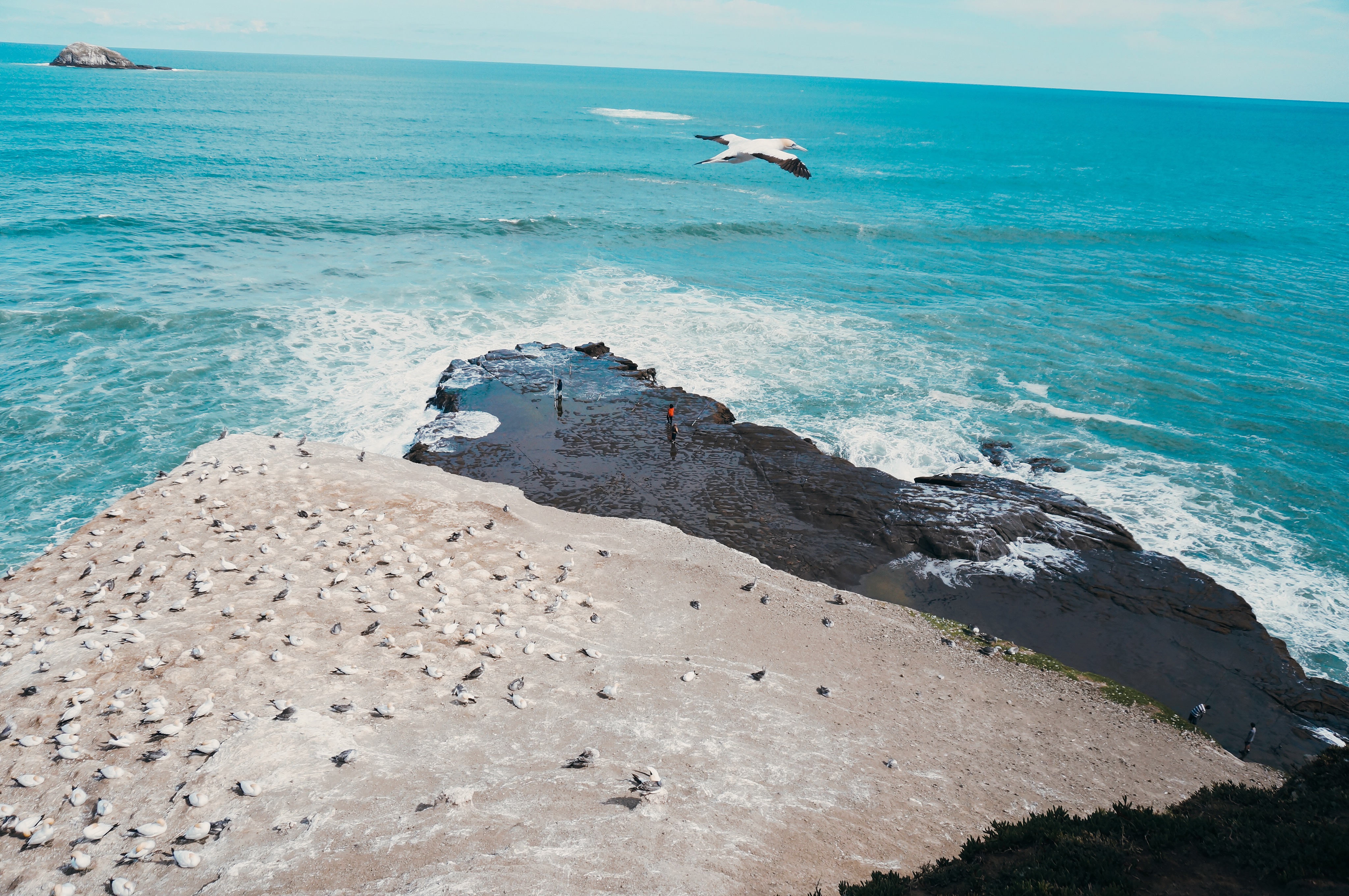 不到4W元的14年中古车，如何陪我闯荡奥克兰（附小众景点干货）