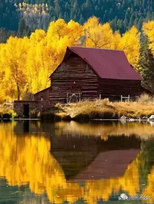 今生不渡此身更待何时渡原话,今生不借此生渡