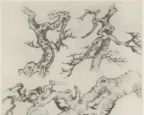 怎么画树最简单而且还最好看,怎么画树才更真实