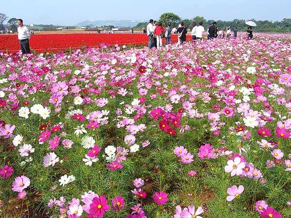 深圳大鹏较场尾民宿三天两夜,深圳大鹏旅游攻略民宿